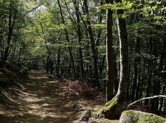 La Ambierle
