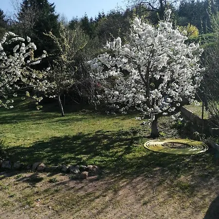 La Ambierle