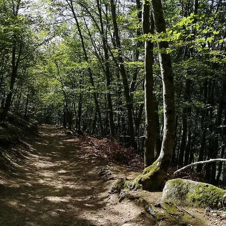 La Ambierle