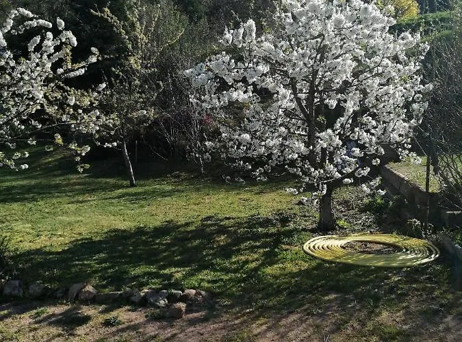 La Ambierle